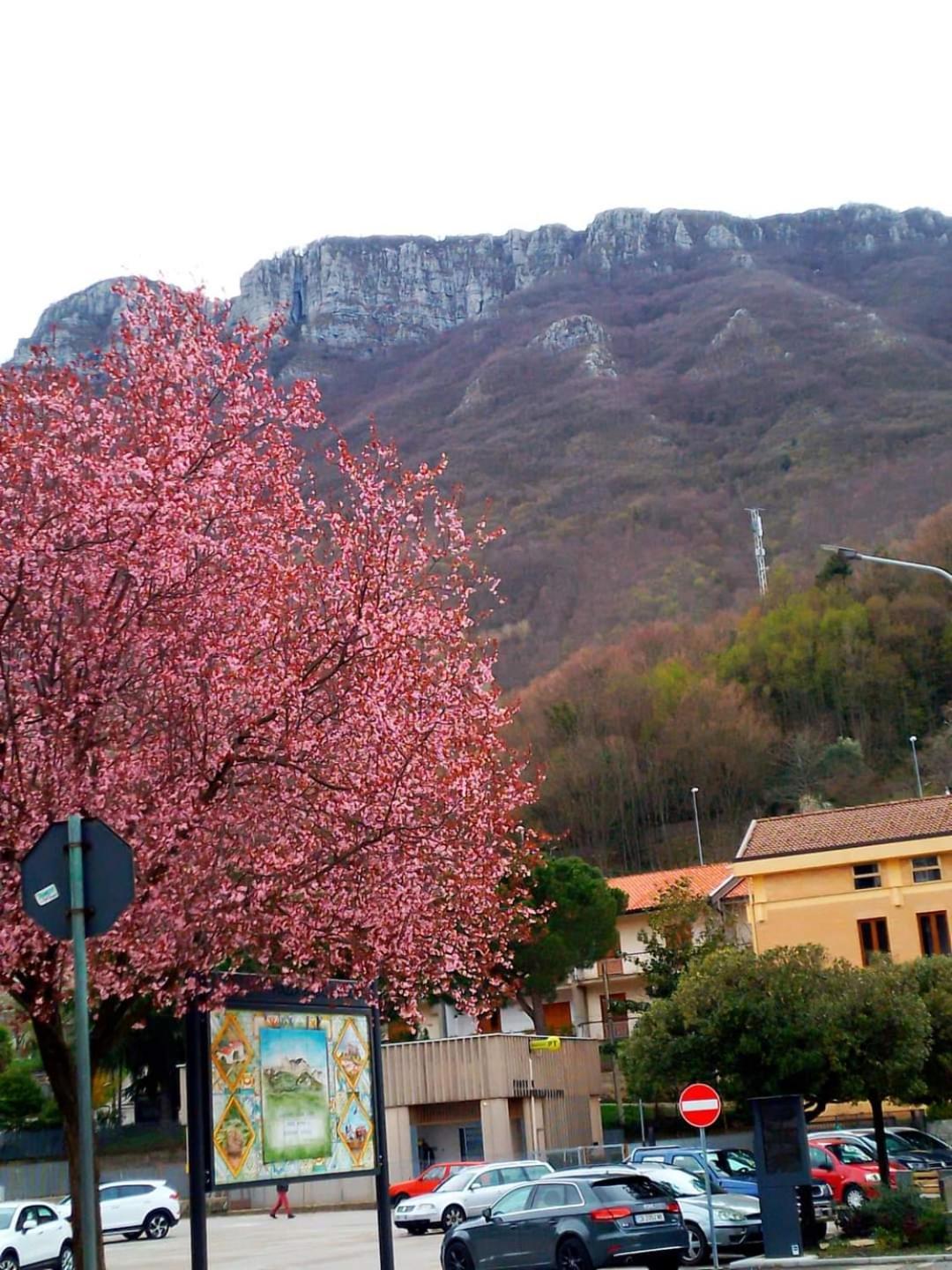 Sapori E Sapere Di Troisi Margherita Sicignano degli Alburni Buitenkant foto