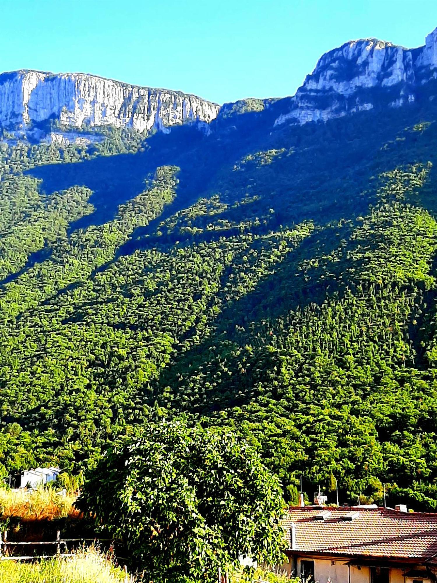 Sapori E Sapere Di Troisi Margherita Sicignano degli Alburni Buitenkant foto